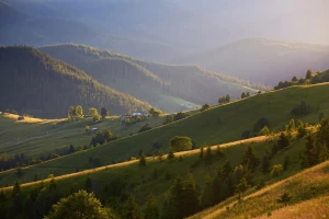 Czy warto studiować budownictwo w 2024? Sprawdź, co przyniosą nowe perspektywy!
