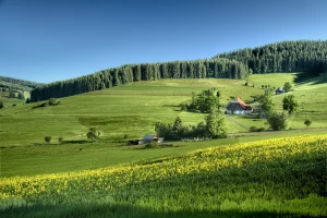 Jak wybrać idealne materace 160x200 dla zdrowego snu?